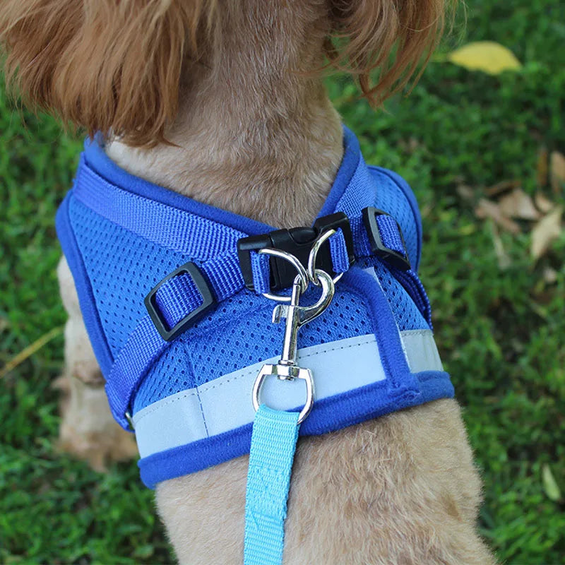 Reflektierendes Hundegeschirr mit Leine – Für kleine & mittelgroße Hunde