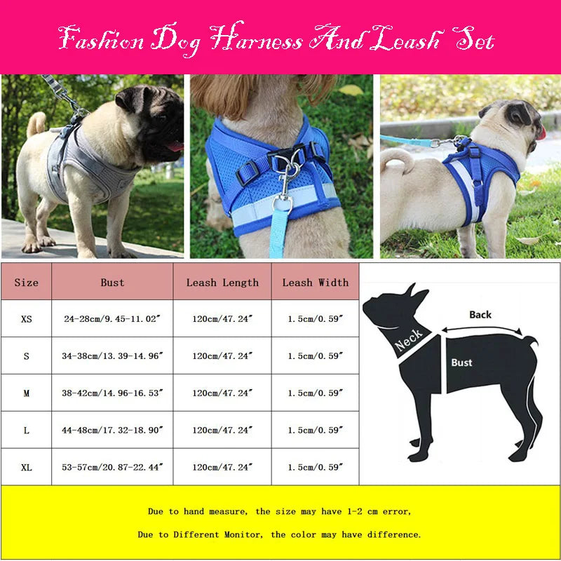 Reflektierendes Hundegeschirr mit Leine – Für kleine & mittelgroße Hunde